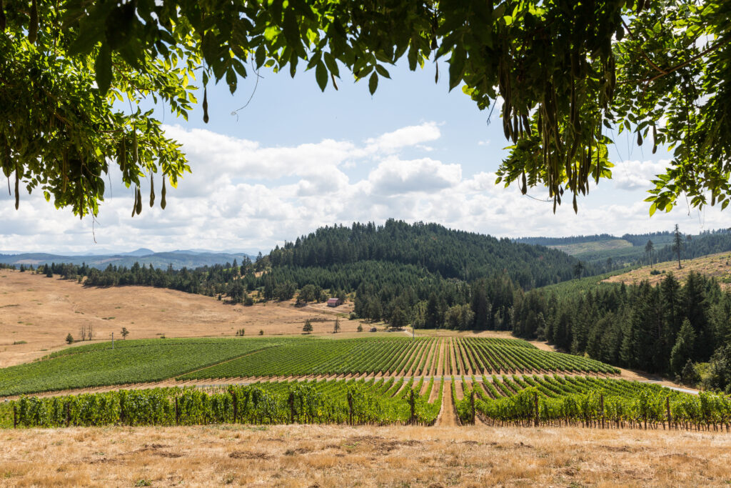 Visit: South & Central Willamette Valley - Oregon Wine Board